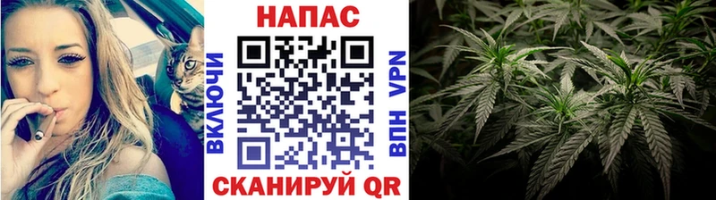 Все наркотики Елабуга Гашиш  Марихуана  Alpha-PVP  Мефедрон 