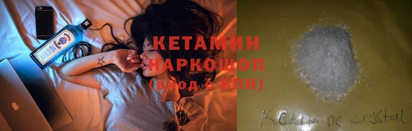 крисы Сатка