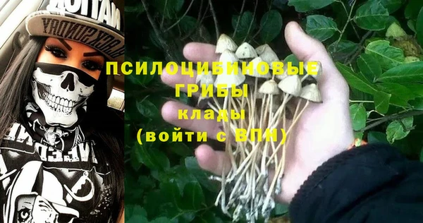 MDMA Богданович