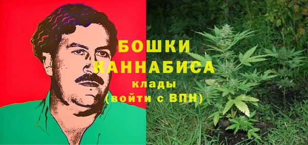 шишки Богородск
