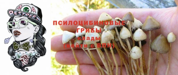 крисы Сатка