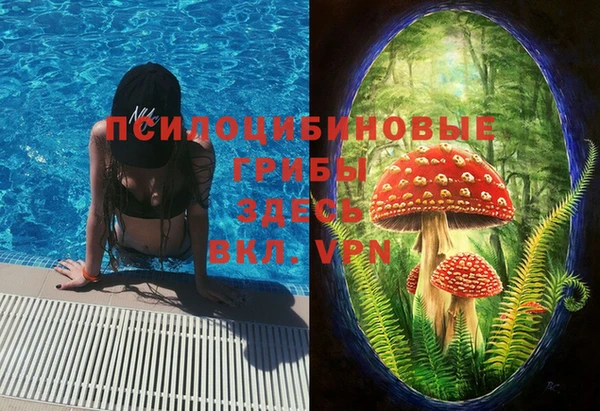 MDMA Богданович