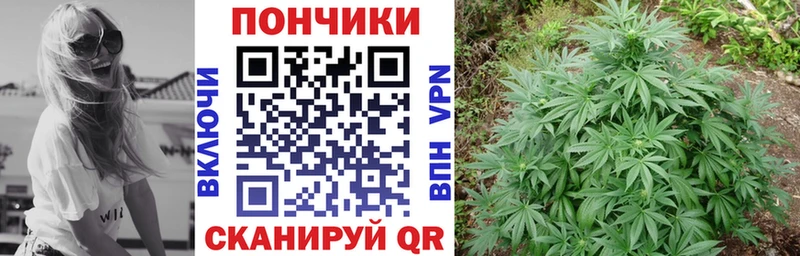 как найти закладки  Елабуга  Каннабис марихуана 
